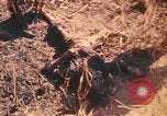 Image of United States soldiers Pleiku South Vietnam, 1969, second 55 stock footage video 65675075562
