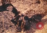 Image of United States soldiers Pleiku South Vietnam, 1969, second 56 stock footage video 65675075562