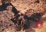 Image of United States soldiers Pleiku South Vietnam, 1969, second 57 stock footage video 65675075562