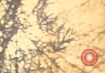 Image of UH-1D Iroquois helicopters Pleiku South Vietnam, 1969, second 3 stock footage video 65675075563