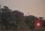 Image of UH-1D Iroquois helicopters Pleiku South Vietnam, 1969, second 7 stock footage video 65675075563