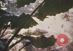 Image of United States pilot Vietnam, 1967, second 1 stock footage video 65675075564