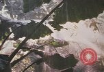 Image of United States pilot Vietnam, 1967, second 7 stock footage video 65675075564