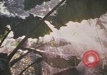 Image of United States pilot Vietnam, 1967, second 18 stock footage video 65675075564