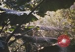 Image of United States pilot Vietnam, 1967, second 24 stock footage video 65675075564