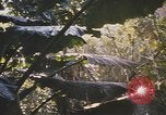 Image of United States pilot Vietnam, 1967, second 25 stock footage video 65675075564