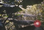 Image of United States pilot Vietnam, 1967, second 26 stock footage video 65675075564