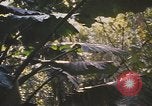 Image of United States pilot Vietnam, 1967, second 27 stock footage video 65675075564