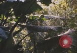 Image of United States pilot Vietnam, 1967, second 28 stock footage video 65675075564