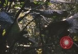 Image of United States pilot Vietnam, 1967, second 29 stock footage video 65675075564