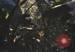 Image of United States pilot Vietnam, 1967, second 30 stock footage video 65675075564