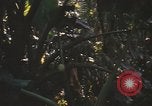 Image of United States pilot Vietnam, 1967, second 31 stock footage video 65675075564
