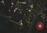 Image of United States pilot Vietnam, 1967, second 32 stock footage video 65675075564