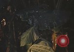 Image of United States pilot Vietnam, 1967, second 35 stock footage video 65675075564