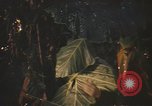 Image of United States pilot Vietnam, 1967, second 36 stock footage video 65675075564