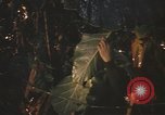 Image of United States pilot Vietnam, 1967, second 37 stock footage video 65675075564