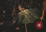 Image of United States pilot Vietnam, 1967, second 41 stock footage video 65675075564