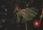 Image of United States pilot Vietnam, 1967, second 43 stock footage video 65675075564