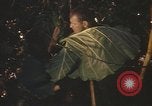 Image of United States pilot Vietnam, 1967, second 44 stock footage video 65675075564