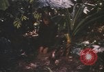 Image of United States pilot Vietnam, 1967, second 3 stock footage video 65675075565