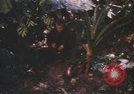 Image of United States pilot Vietnam, 1967, second 4 stock footage video 65675075565
