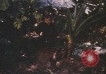 Image of United States pilot Vietnam, 1967, second 5 stock footage video 65675075565