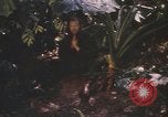 Image of United States pilot Vietnam, 1967, second 7 stock footage video 65675075565