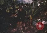 Image of United States pilot Vietnam, 1967, second 8 stock footage video 65675075565