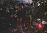 Image of United States pilot Vietnam, 1967, second 9 stock footage video 65675075565