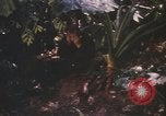 Image of United States pilot Vietnam, 1967, second 11 stock footage video 65675075565