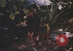 Image of United States pilot Vietnam, 1967, second 18 stock footage video 65675075565