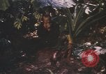 Image of United States pilot Vietnam, 1967, second 19 stock footage video 65675075565