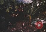 Image of United States pilot Vietnam, 1967, second 20 stock footage video 65675075565