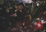 Image of United States pilot Vietnam, 1967, second 21 stock footage video 65675075565