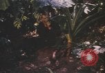 Image of United States pilot Vietnam, 1967, second 23 stock footage video 65675075565