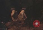 Image of United States pilot Vietnam, 1967, second 31 stock footage video 65675075565