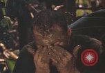 Image of United States pilot Vietnam, 1967, second 42 stock footage video 65675075565