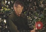 Image of United States pilot Vietnam, 1967, second 53 stock footage video 65675075565