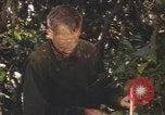 Image of United States pilot Vietnam, 1967, second 56 stock footage video 65675075565