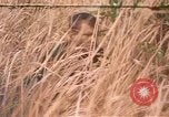 Image of United States pilot Vietnam, 1967, second 1 stock footage video 65675075567