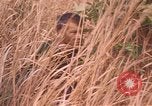 Image of United States pilot Vietnam, 1967, second 4 stock footage video 65675075567