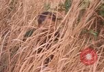 Image of United States pilot Vietnam, 1967, second 5 stock footage video 65675075567