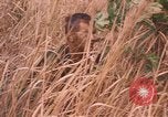 Image of United States pilot Vietnam, 1967, second 7 stock footage video 65675075567