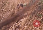 Image of United States pilot Vietnam, 1967, second 9 stock footage video 65675075567