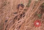 Image of United States pilot Vietnam, 1967, second 11 stock footage video 65675075567