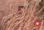Image of United States pilot Vietnam, 1967, second 13 stock footage video 65675075567