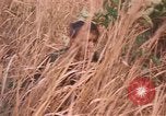 Image of United States pilot Vietnam, 1967, second 14 stock footage video 65675075567