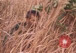 Image of United States pilot Vietnam, 1967, second 16 stock footage video 65675075567