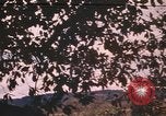 Image of United States pilot Vietnam, 1967, second 17 stock footage video 65675075567