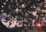 Image of United States pilot Vietnam, 1967, second 18 stock footage video 65675075567